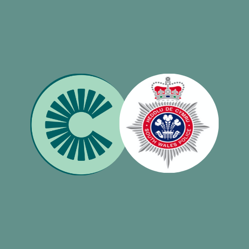 ICSP logo